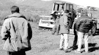 Ampliar noticia